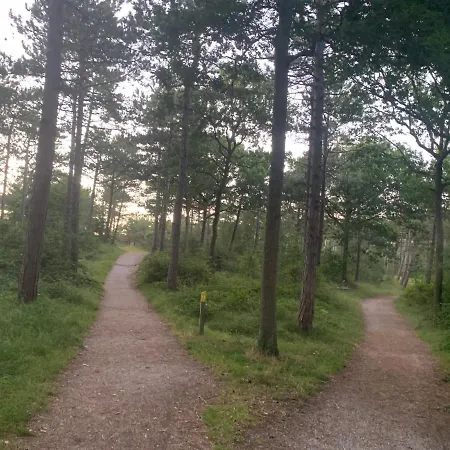 Balsemientexel Lejlighed *