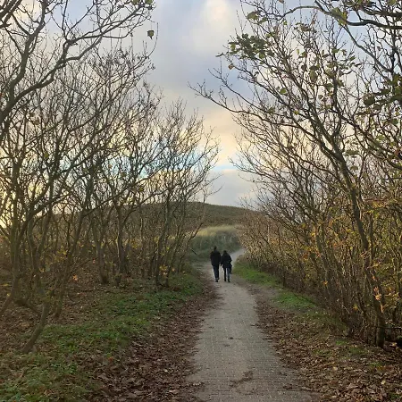 Lejlighed Balsemientexel *