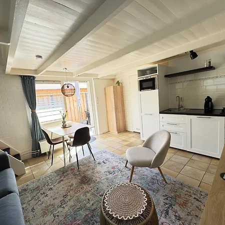 Balsemientexel Apartmán De Koog (Texel)