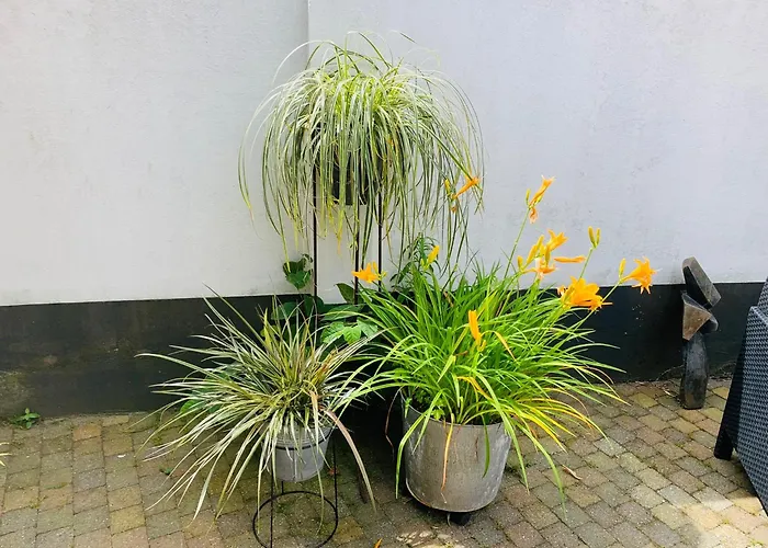 Balsemientexel Apartment De Koog (Texel)