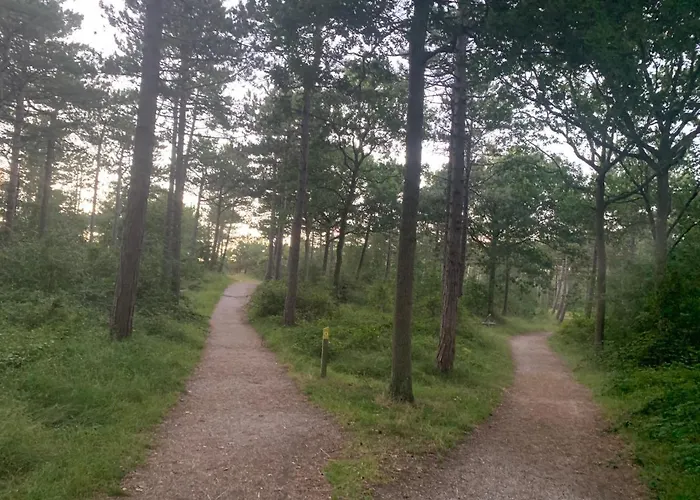 Balsemientexel Apartmán *