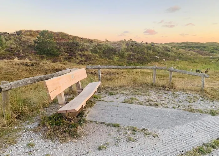 Balsemientexel Appartamento