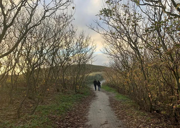 Apartment Balsemientexel *
