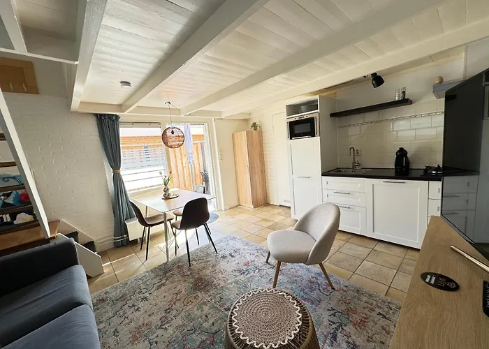 Balsemientexel Apartment De Koog (Texel)