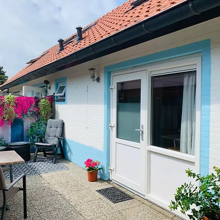 Balsemientexel