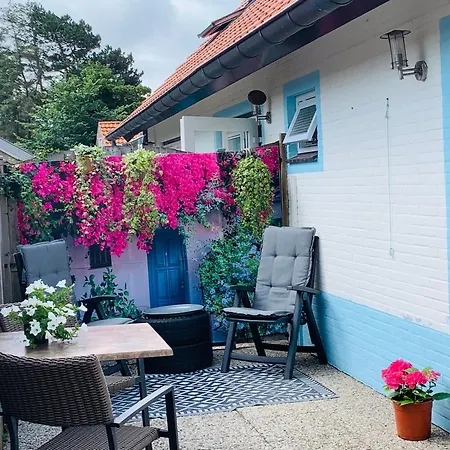 Balsemientexel * De Koog (Texel)