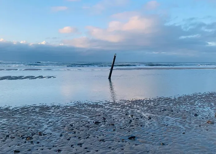 公寓 Balsemientexel